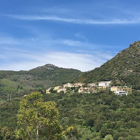 Charmant T2 Hauteurs De Bastia Bastia  Esterno foto