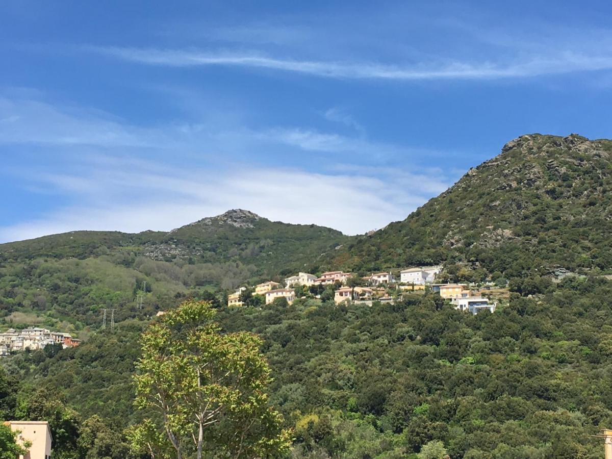 Charmant T2 Hauteurs De Bastia Bastia  Esterno foto