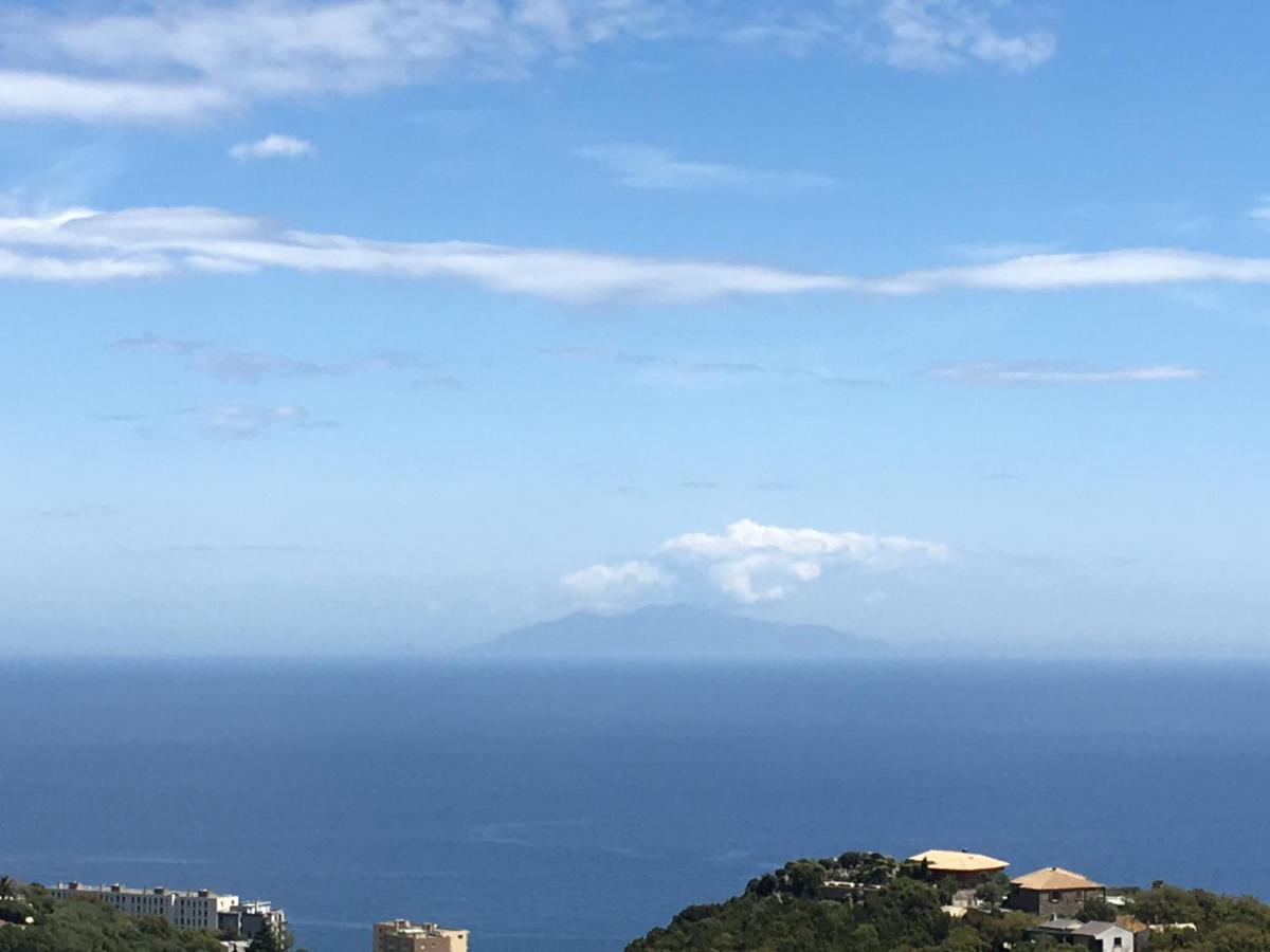 Charmant T2 Hauteurs De Bastia Bastia  Esterno foto